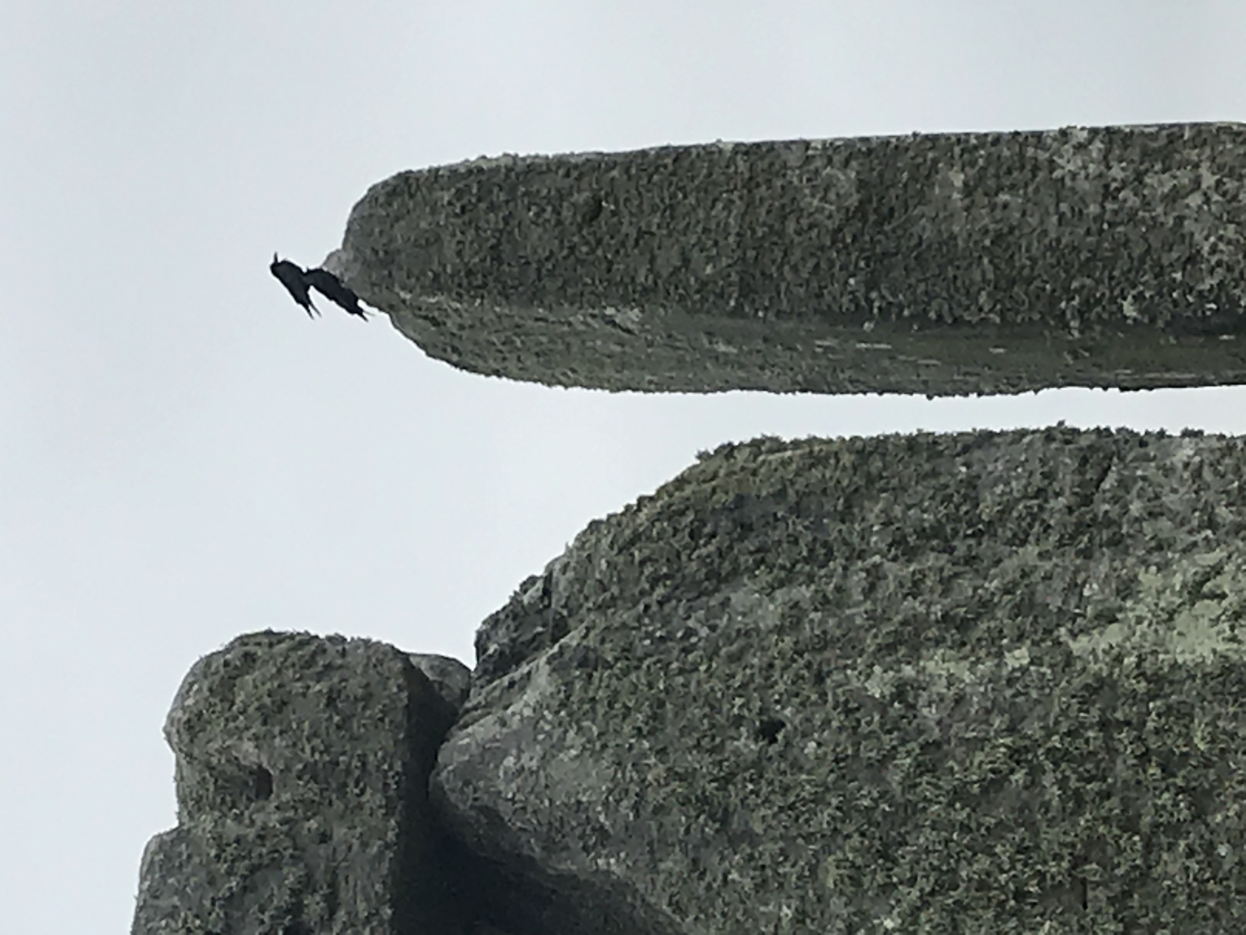 ./2018/15 - London/04 - Day 4/IMG_9308.jpg